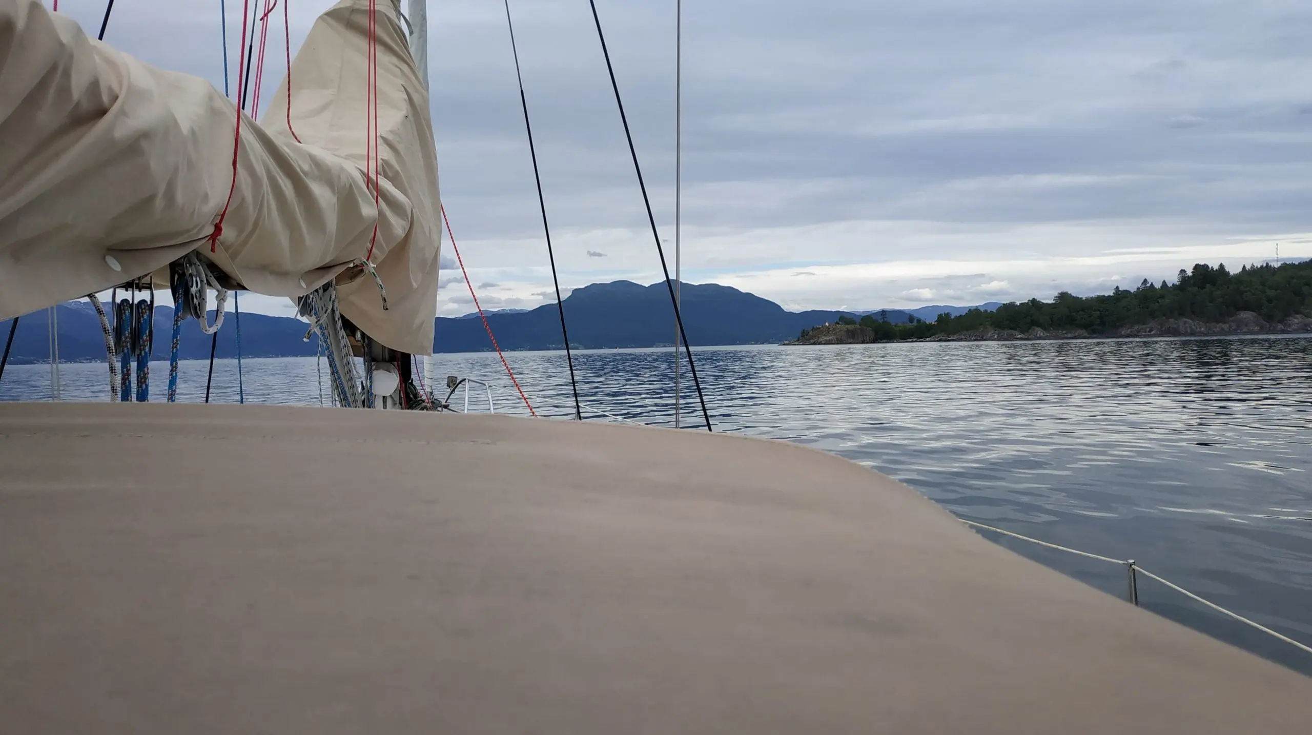 Ciasto na pokładzie - Porta Sailing Team
