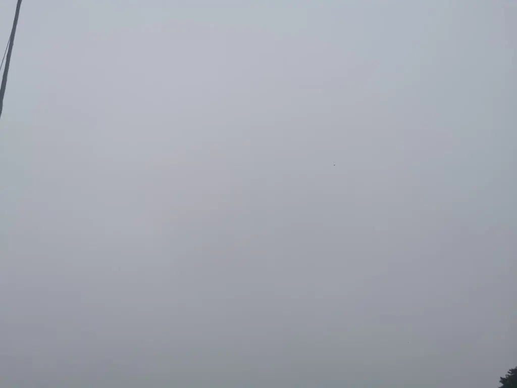 Gdzie wiatr poniesie żegluga