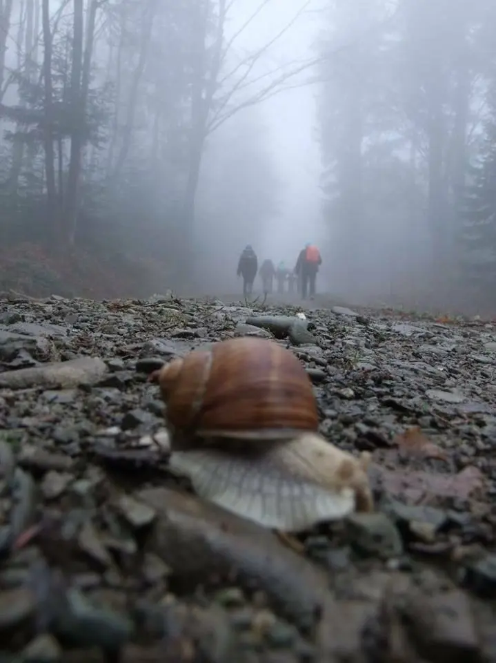 Trekking w Beskidach - 09-10.04.2016 r.